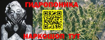 кокаин Моздок