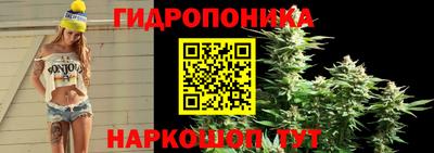 кокаин Моздок
