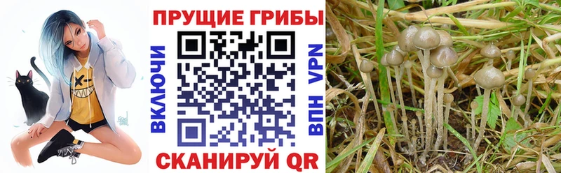 Галлюциногенные грибы ЛСД  Ростов-на-Дону 