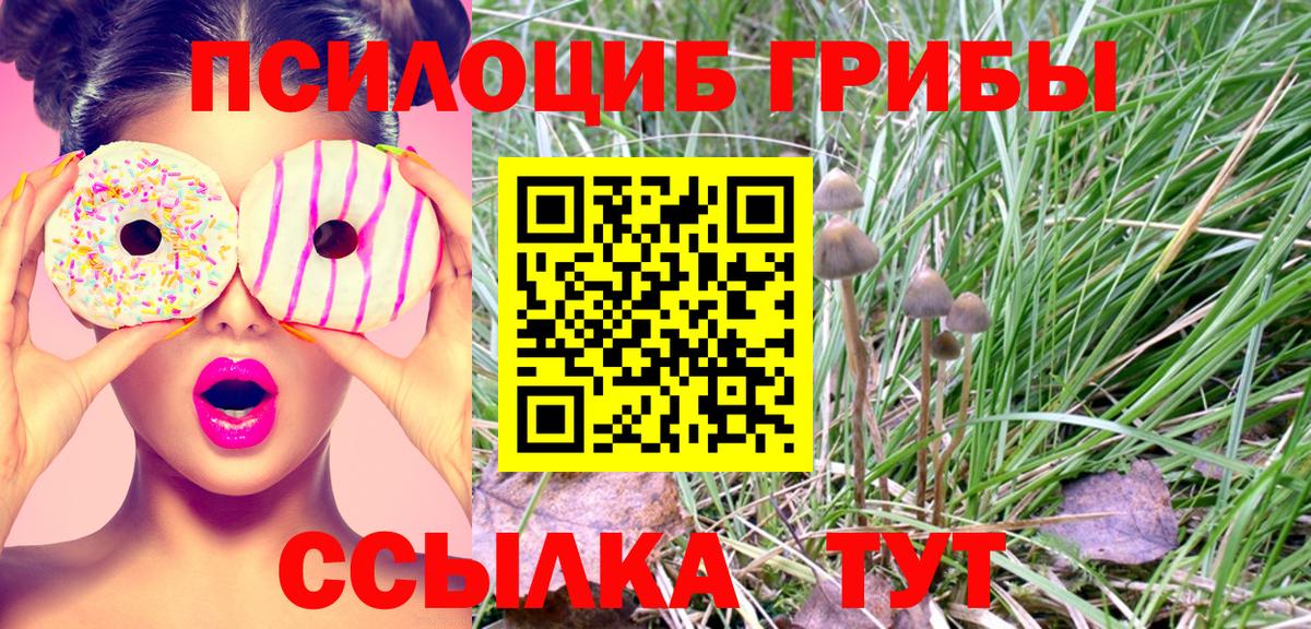 Ростов-на-Дону  Псилоцибиновые грибы Psilocybine cubensis  Вход с VPN 